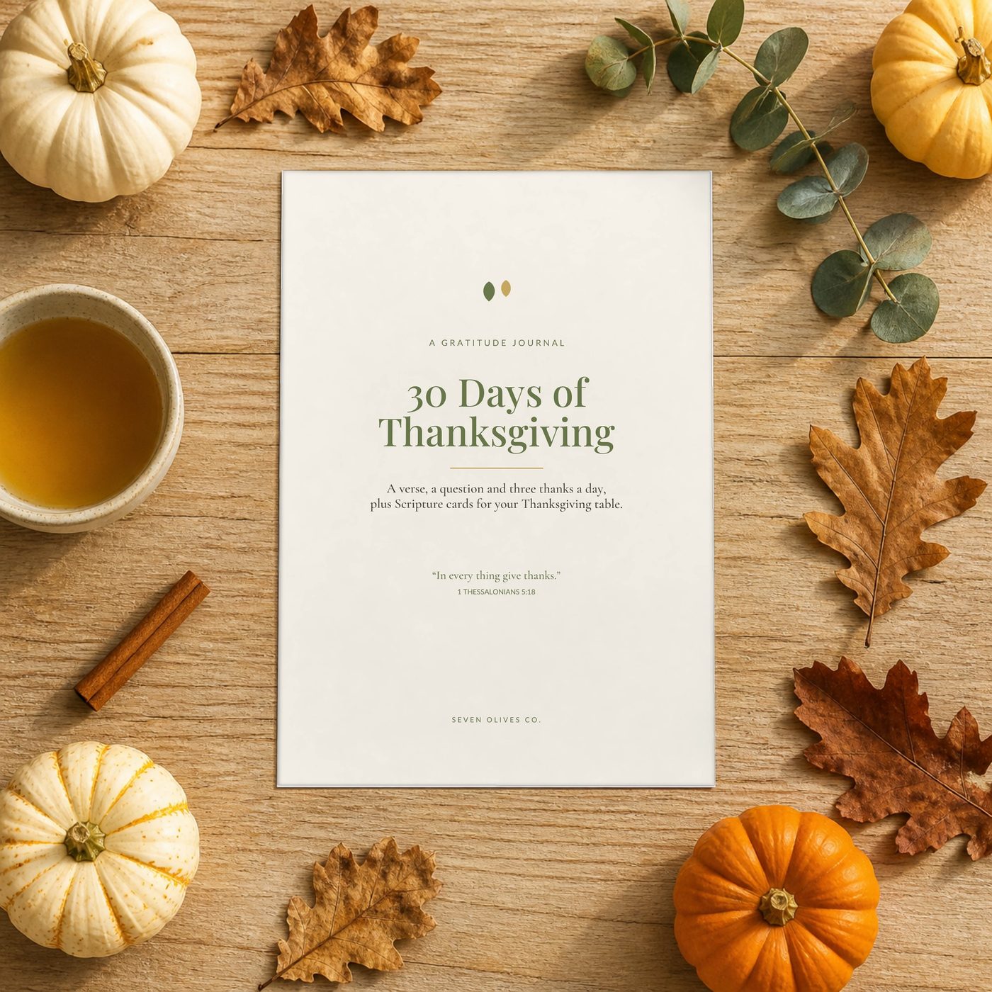 30 Days of Thanksgiving Gratitude Journal